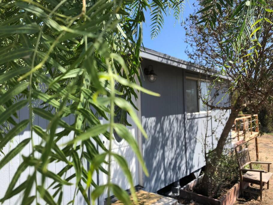 30 Pct Off!! Limited Time! Malibu Charming Getaway With King Bed, Near Beach Exteriör bild